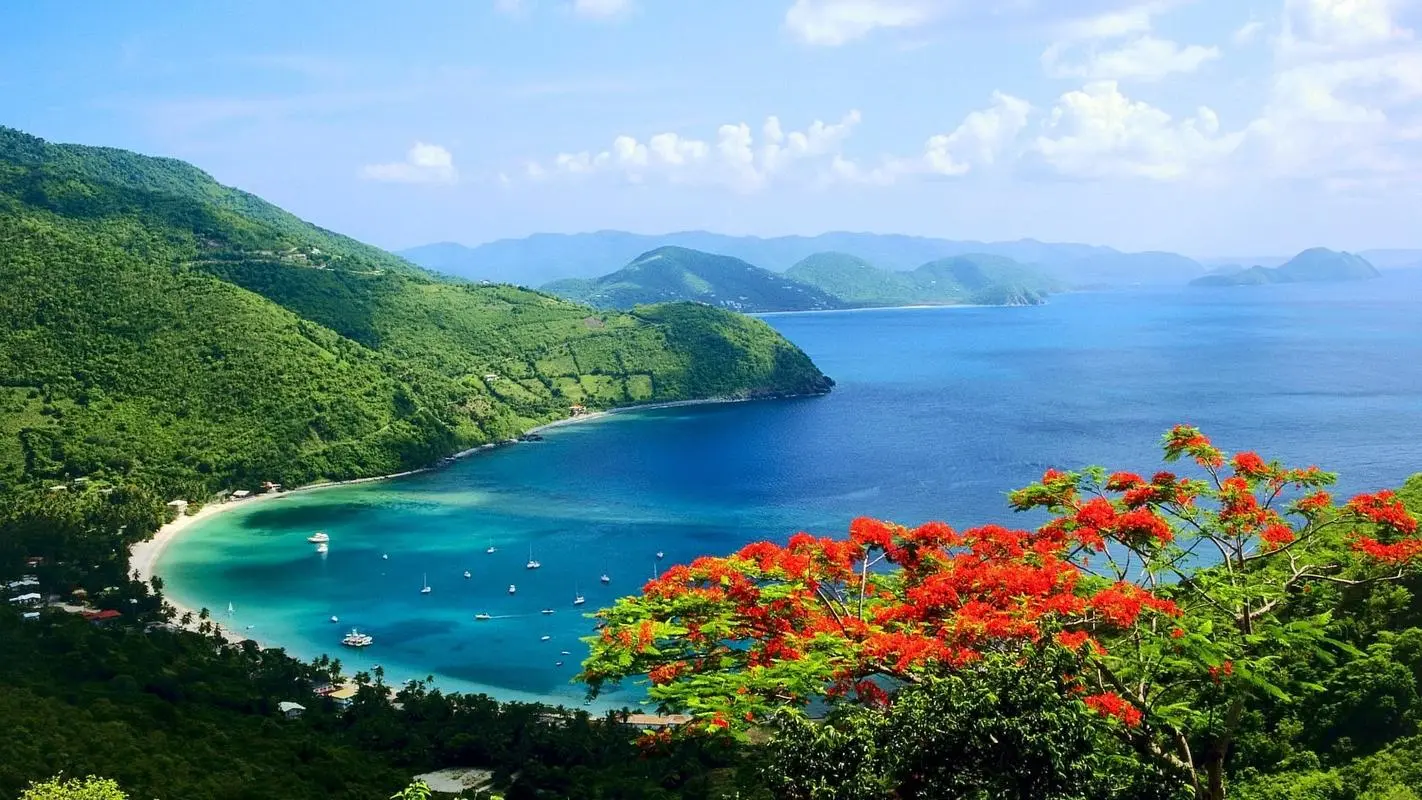 高性能高标准